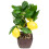 Faux Bonsai Simulated Lemon Bonsai Multi Decorative Prop 1set 6