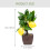 Faux Bonsai Simulated Lemon Bonsai Multi Decorative Prop 1set 11