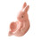 Ceramic Egg Cup Soft Boiled Holder Decorative Holders For Display 9