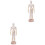 2 Pcs Educational Children Craft Toys Creative Desktop Decor 3