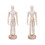 2 Pcs Educational Children Craft Toys Creative Desktop Decor 2