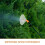 2Pcs Clear Windproof Misting Nozzle Set for Outdoor Sprayer Use 7