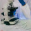 100 pezzi da 15 ml, provette da laboratorio in plastica, mini provette da centrifuga, tappo a scatto, 4