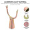 10 Pcs Fruit Tree Support Fork Iron Plant Branches Bracket Trunk Straightening Tool Garden Orchard Decor 5