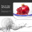 4 Pcs Enamel Plate Multi-function Dish Multifunction Sashimi Food Steamed Plates Kitchen Dishes Flat 4