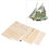 Ship Model 1/100 Scale Skill Development Wooden 11