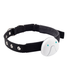 Schenken Sie an diesem Black Friday absolute Sorgenfreiheit. European-Smart 4G Pet Tracker