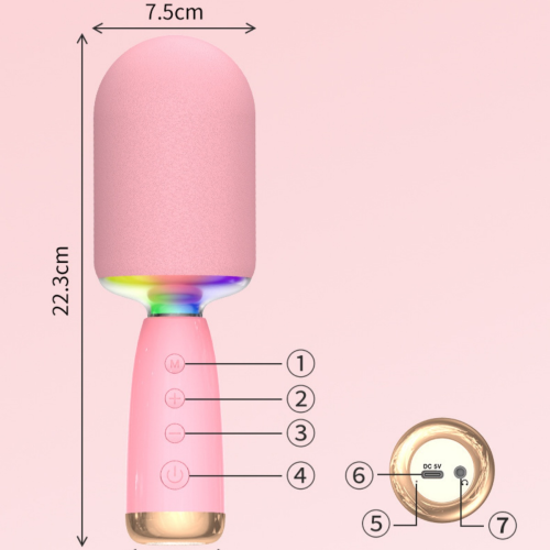 All-in-One Karaoke Microphone Speaker: Wireless Bluetooth System for Home Singing Fun 2