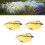 3Pcs Floating Yellow Duckling Realistic Plastic 11