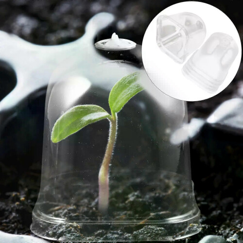 Lot de 5 mini serres transparentes pour pots de fleurs et plantes 2