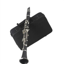 Beginner B Clarinet for Adults - 17-Key Durable Professional Clarinet with Bright Sound and Quality Craftsmanship