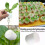50pcs Hydroponic Basket Vegetable Net Cups Grow Vegetable Basket Cloning Cylinders-Sponge For Orchids 2