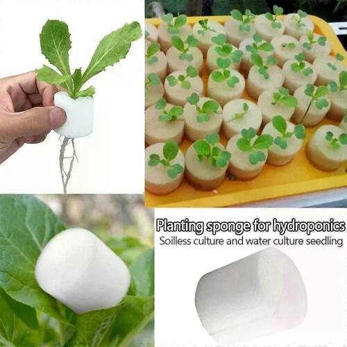 50pcs Hydroponic Basket Vegetable Net Cups Grow Vegetable Basket Cloning Cylinders-Sponge For Orchids 1
