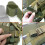 5PCS Tactical Nylon Straps Cable Ties Strap Webbing Organizer Fix Hook Loop Grip Wrapping Cord Reusable 4