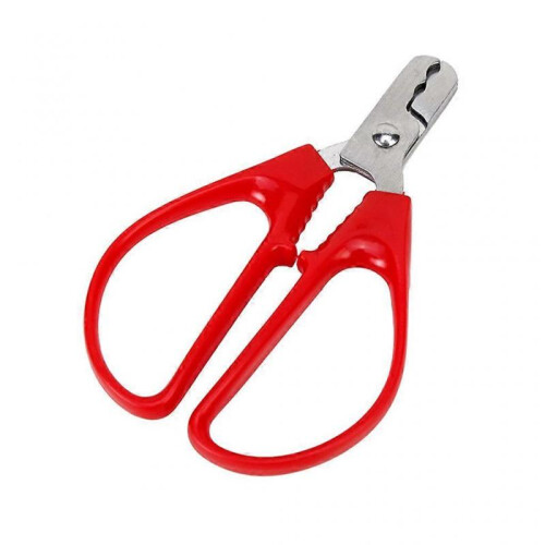 Stainless Steel Nut Seed Sheller Opener Peeling Pliers 1
