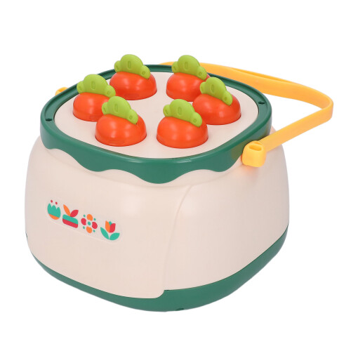 4 in 1 Flower Sorting Stacking Toys Hand Eye 2