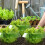 Snail Repellent Protective Ring Snail Collar for 9