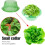 Snail Repellent Protective Ring Snail Collar for 3