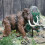 Woolly Mammoth Figurine Simulated Large Elephant 11