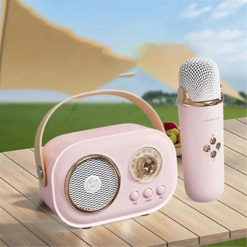 Wireless Bluetooth Audio Portable Amplifier Home Ktv Microphone Children's Karaoke Small Microphon 1