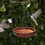 Bird Bath Hanging Bird Feeder Round Plastic 11