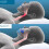 Snoring Splint Mouthpiece for Better Sleep, Adjustable Anti-Snoring Device, Comfortable Silicone Snoring Solution 3