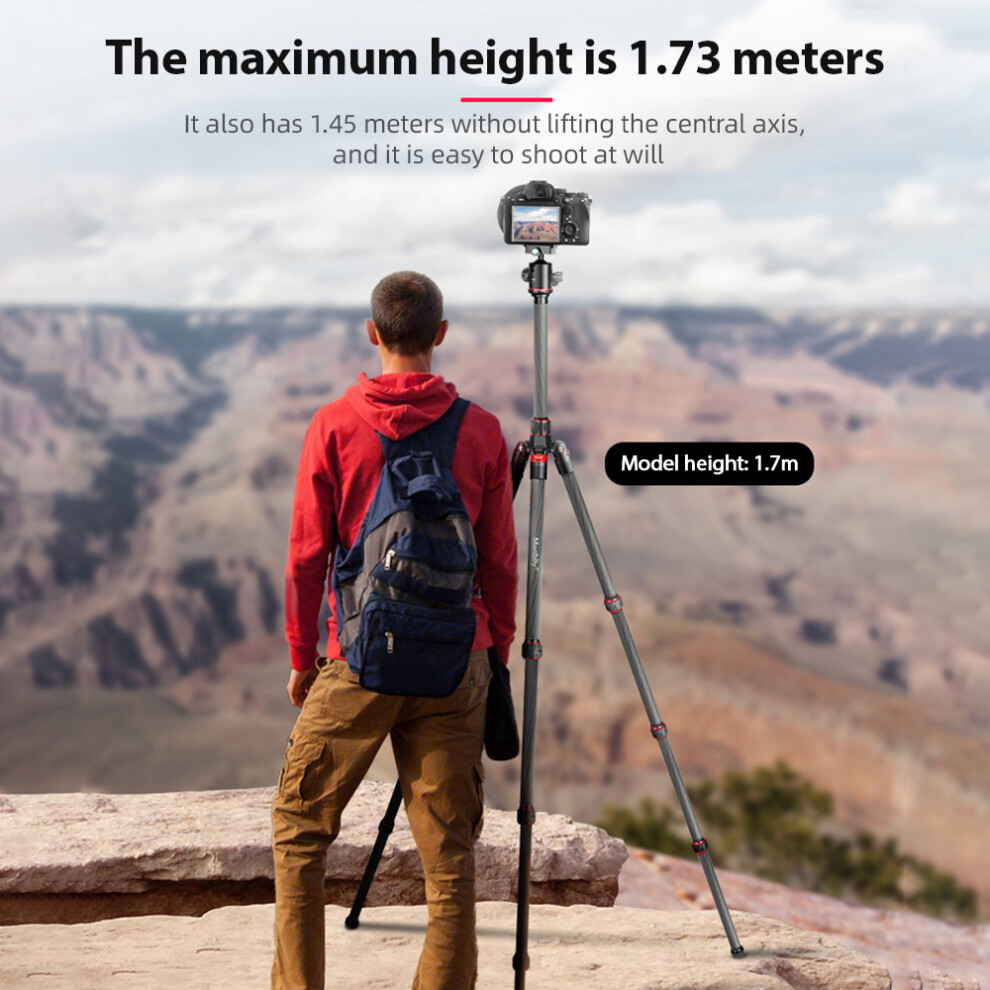 Manbily Mc-284 68.1-Inch Foldable Tripod Camera 8320539560045