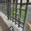 1 Roll Wire Mesh Large Easy to Form Lightweight Solid Anti-rust Hot Galvanizing Hexagonal Shape Gardening 4