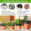 KEENSO växtfatbricka 20-pack växtfat Blomkrukafatbricka Planter Pool 3