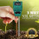 Soil Analyzer Moisture PH Tester for Plants Green 2