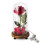 Rose éternelle et lumière LED La Belle et la Bête 2