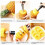 Coupe-ananas, trancheuse à ananas, éplucheur d'ananas, acier inoxydable 4