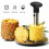 Coupe-ananas, trancheuse à ananas, éplucheur d'ananas, acier inoxydable 2