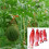 Hamac robuste en filet de pastèque (35 cm) 100 pièces pour jardin et cour G5AB 2