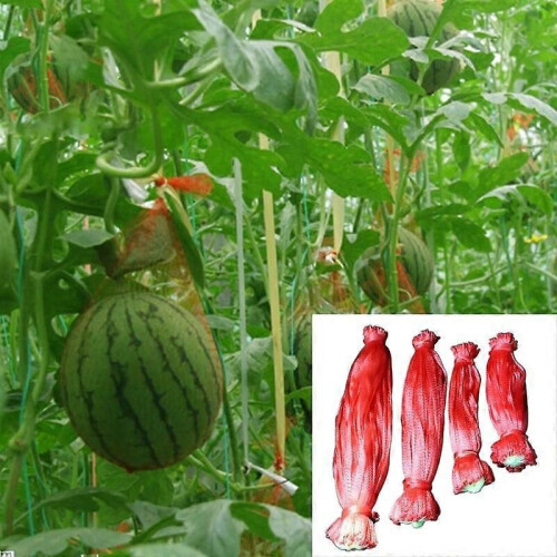 Hamac robuste en filet de pastèque (35 cm) 100 pièces pour jardin et cour G5AB 1