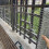 (13)Scratch Resistant Animal Fence Net Durable Galvanized Hexagonal Wire Mesh Fence 2