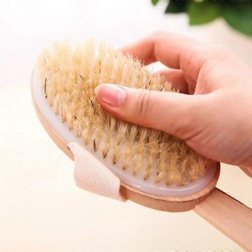 HudborsteNatural Bristle Body Brush Exfoliating Back Brush 1