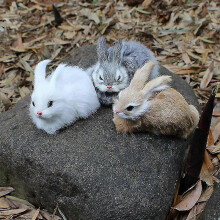 (White) 15Cm Q Version Lifelike Plush Rabbit Lifelike Animal Desktop Ornaments Easter Imitation Rabbit Model Zekai