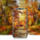 Tempered Glass for iPhone 11 Pro Max Easy Installation Frame No Bubbles 3D Full Coverage Screen Protector 4