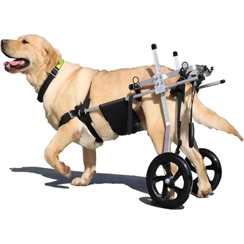 Pet Care Aluminium Dog Wheelchair for Large Dogs, Adjustable, Durable Rehabilitation Aid for Paralyzed Hind Legs, Size M