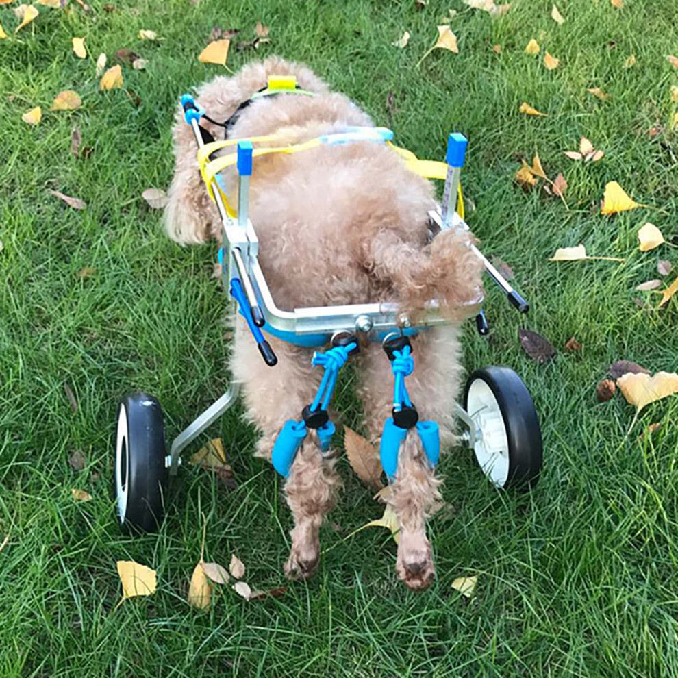 Adjustable Dog Wheelchair for Rear Legs, Supportive Mobility Aid, Exercise Cart for Disabled Pets, Medium Size