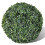 vidaXL Planta artificial 2 piezas 27 cm 2
