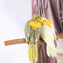 (S, Yellow) Adjustable Bird Harness and 80 Inch Leash for Outdoor Flying Training, Secure Fit for Parrots Cockatiels