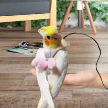 (S, Pink) Adjustable Bird Harness and 80 Inch Leash for Outdoor Flying Training, Secure Fit for Parrots Cockatiels