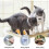 cat window hammockSuction cup pet hanging pet bed for cat perch 3