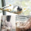 cat window hammockSuction cup pet hanging pet bed for cat perch 4