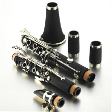 Professional Clarinet B Clarinet for Beginners | Wooden Wind Instrument | Ideal Starter Clarinet with Specifications