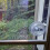 Durable Plastic Clear RV Screen Door Slider Panel 12x9.75in with Push Down Knob 8