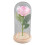 Rose Flower LED Light with Glass Cover Base 6