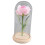 Rose Flower LED Light with Glass Cover Base 10